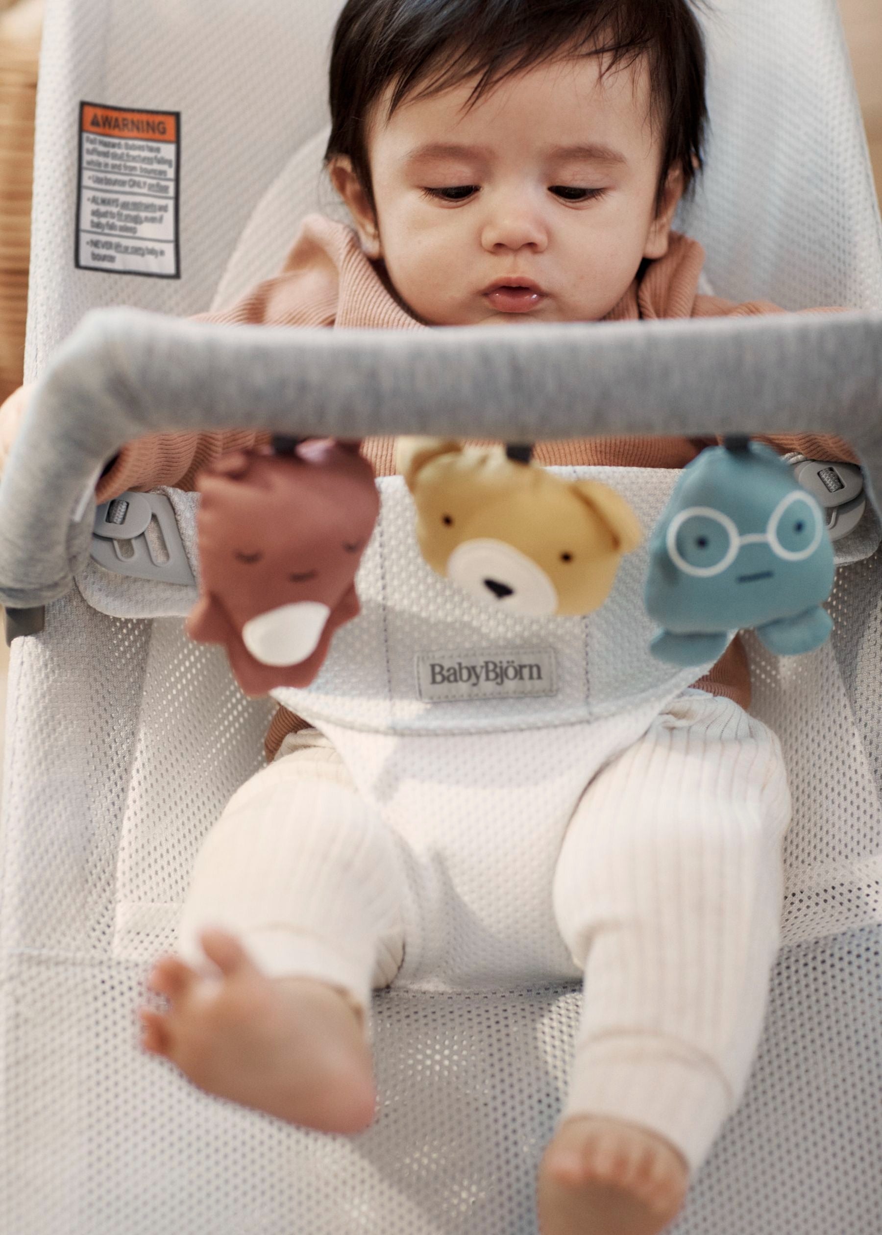 BabyBjörn Bouncer Toy