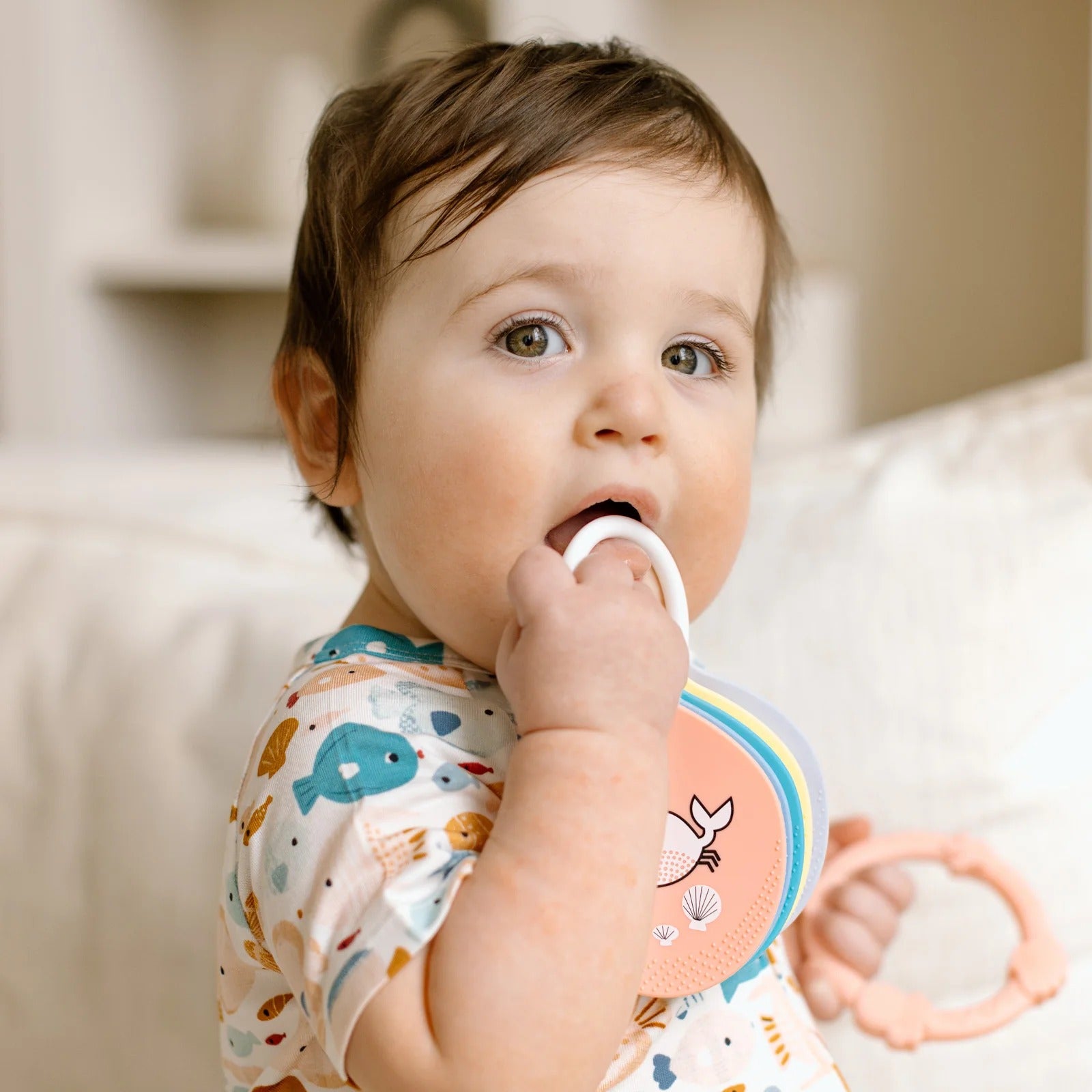 Loulou Lollipop Flashcards