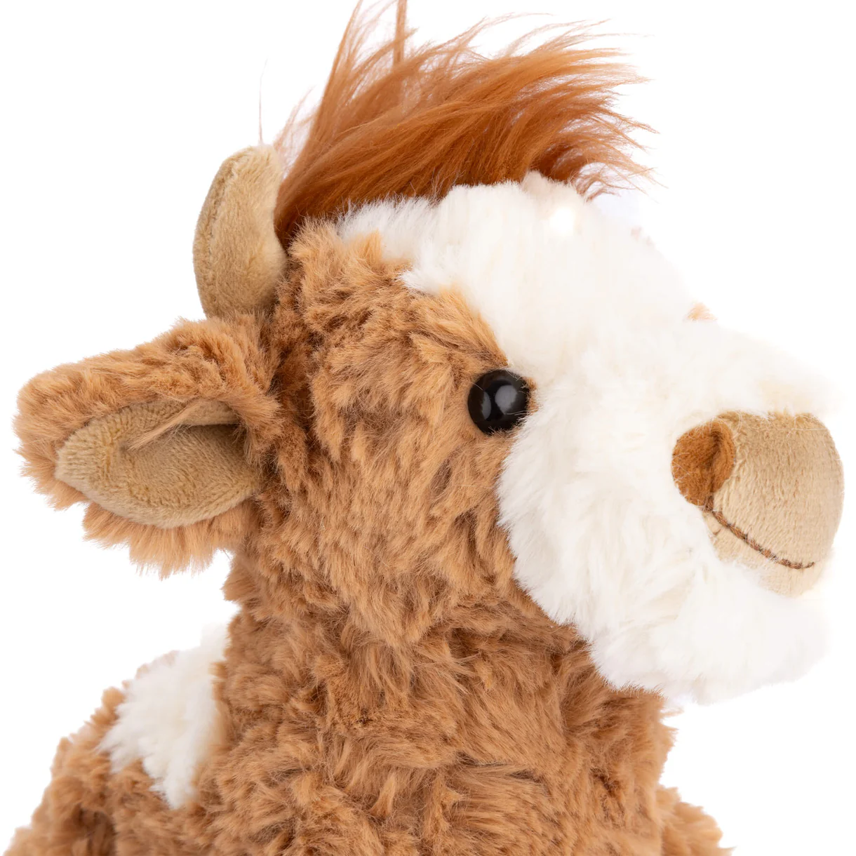 Bukowski Bears Madison the Highland Cow