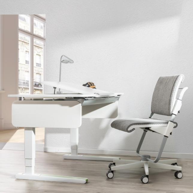 Moll e-Champion Height Adjustable Desk