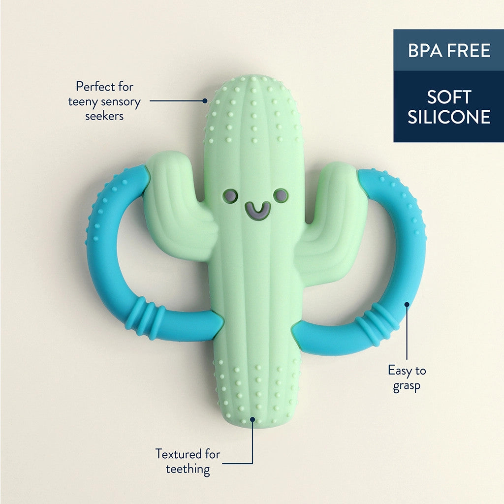 Itzy Ritzy Chew Crew cactus teether with blue ring handles