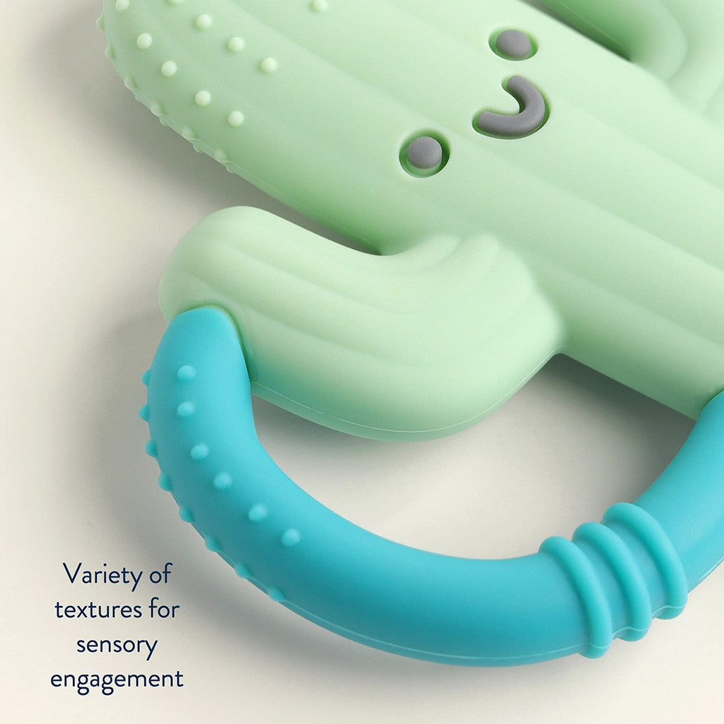Itzy Ritzy Chew Crew teether in mint green and blue silicone