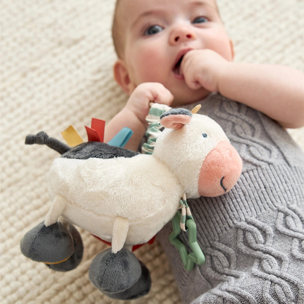 Itzy Ritzy Itzy Friends Link & Love Activity Plush