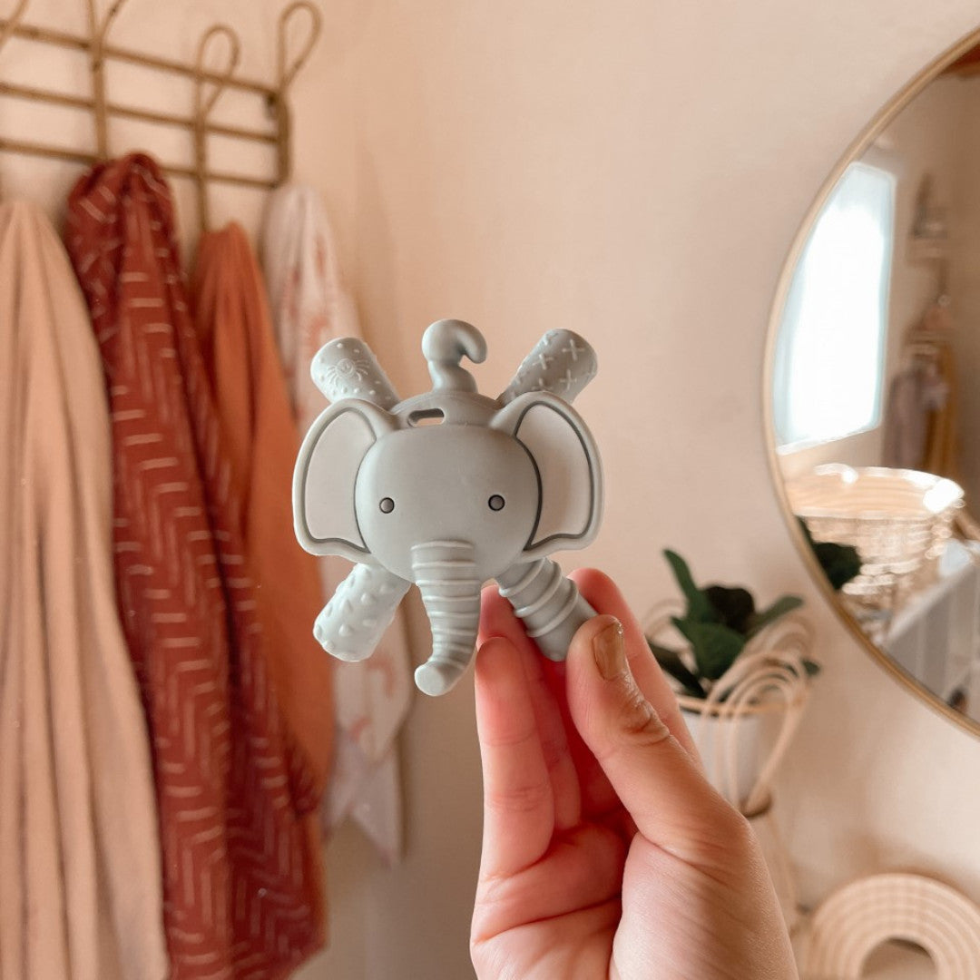 Itzy Ritzy Baby Molar Teether