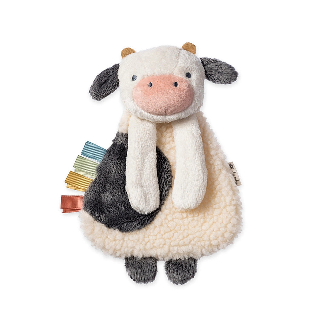 Itzy Ritzy Bitzy Busy Gift Set