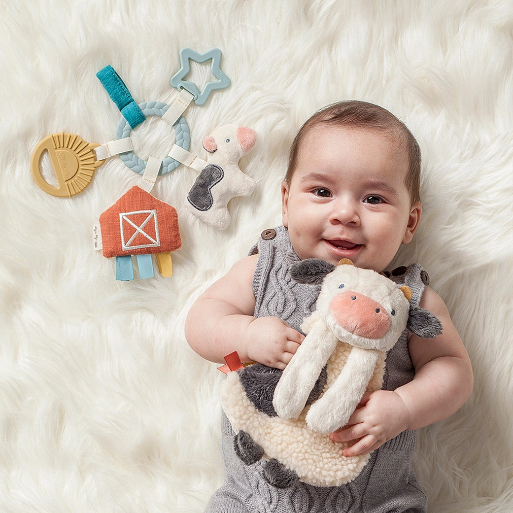 Itzy Ritzy Bitzy Busy Gift Set 4-piece pastel plush toys