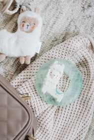 Itzy Ritzy Cute N Cool Water Teether Llama