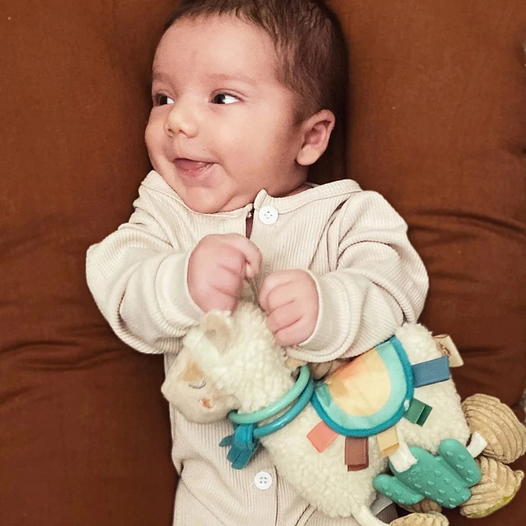 Itzy Ritzy Itzy Friends Link & Love Activity Plush