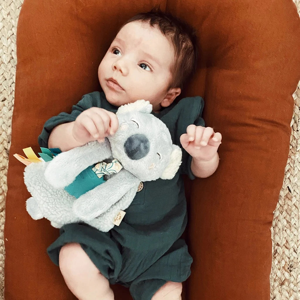 ITZY RITZY ITZY LOVEY PLUSH AND TEETHER TOY