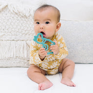 Itzy Ritzy Silicone Teether