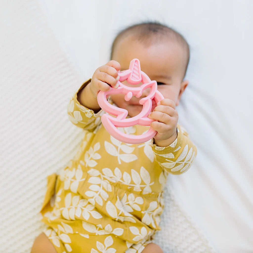 ITZY RITZY SILICONE TEETHER - baby enRoute
