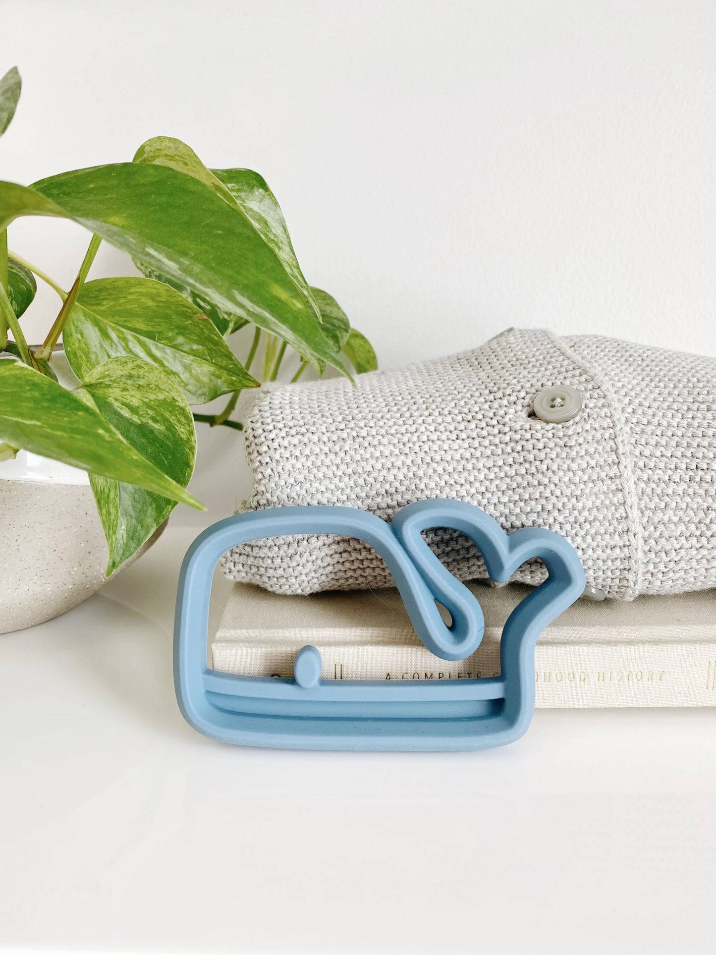 ITZY RITZY SILICONE TEETHER - baby enRoute