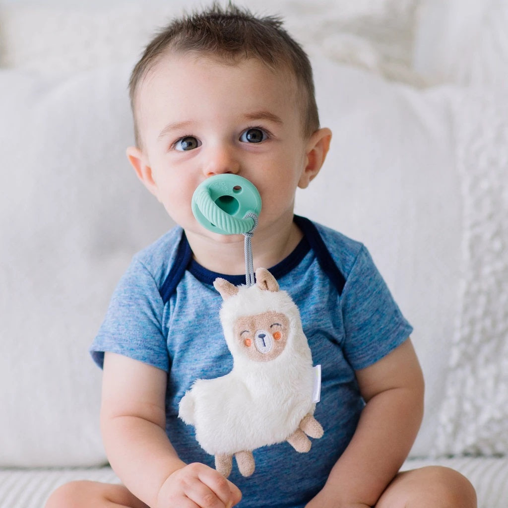 Itzy Ritzy Sweetie Pal Pacifier & Stuffed Anima
