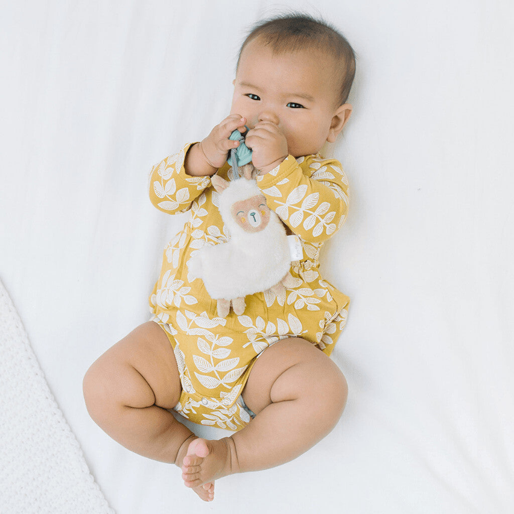 Itzy Ritzy Sweetie Pal Pacifier & Stuffed Anima