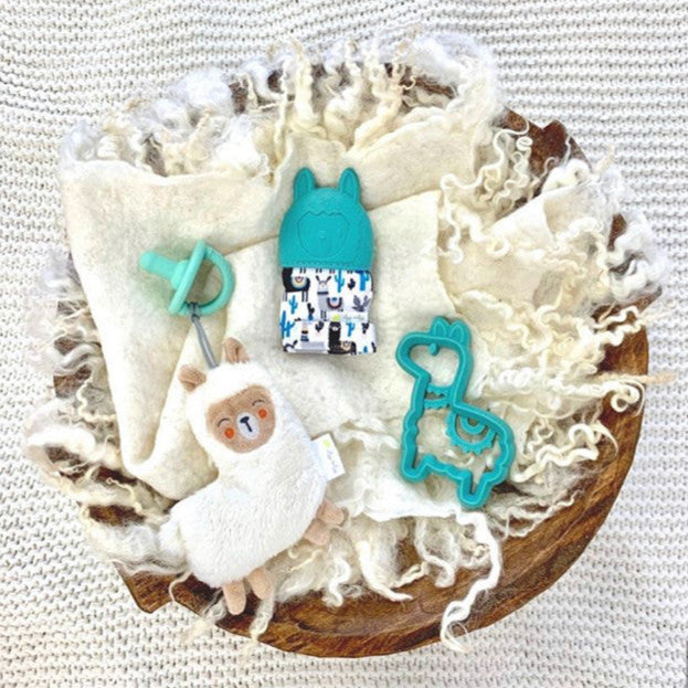 Itzy Ritzy Sweetie Pal Pacifier & Stuffed Anima