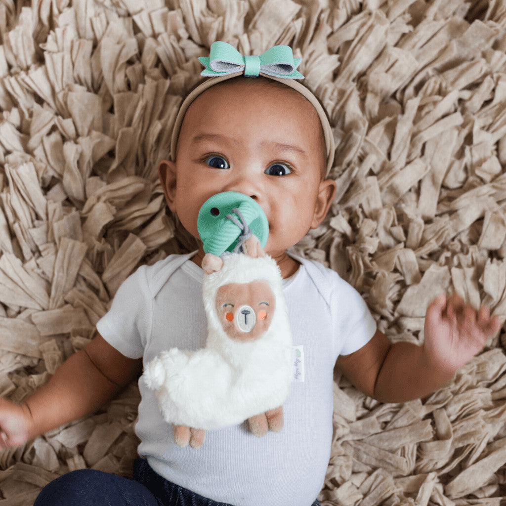 Itzy Ritzy Sweetie Pal Pacifier & Stuffed Anima