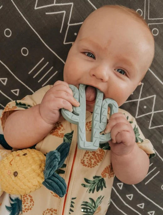 Itzy Ritzy Teething Mitt & Teether Gift Set
