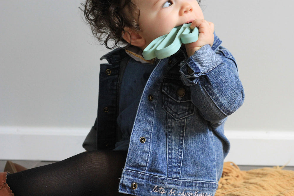 Itzy Ritzy Teething Mitt & Teether Gift Set