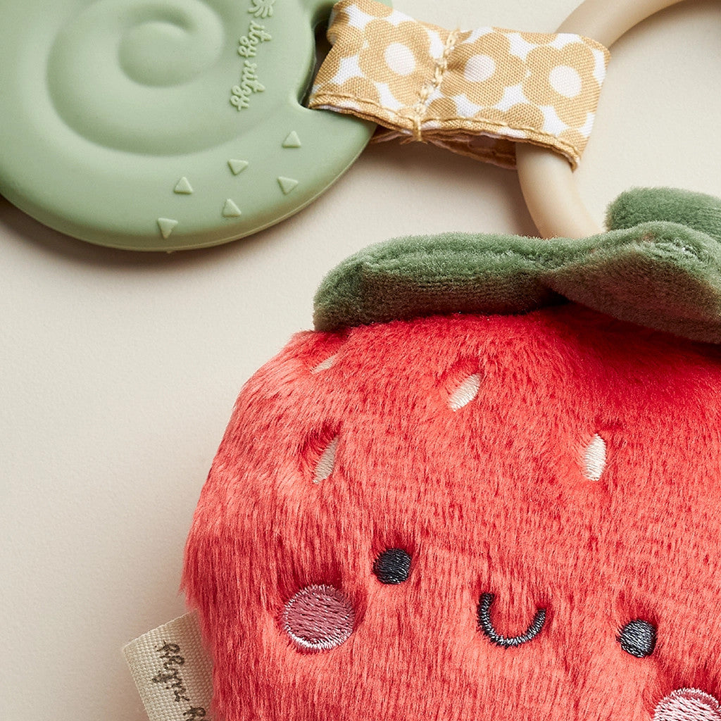 ITZY RITZY PAL PLUSH AND TEETHER