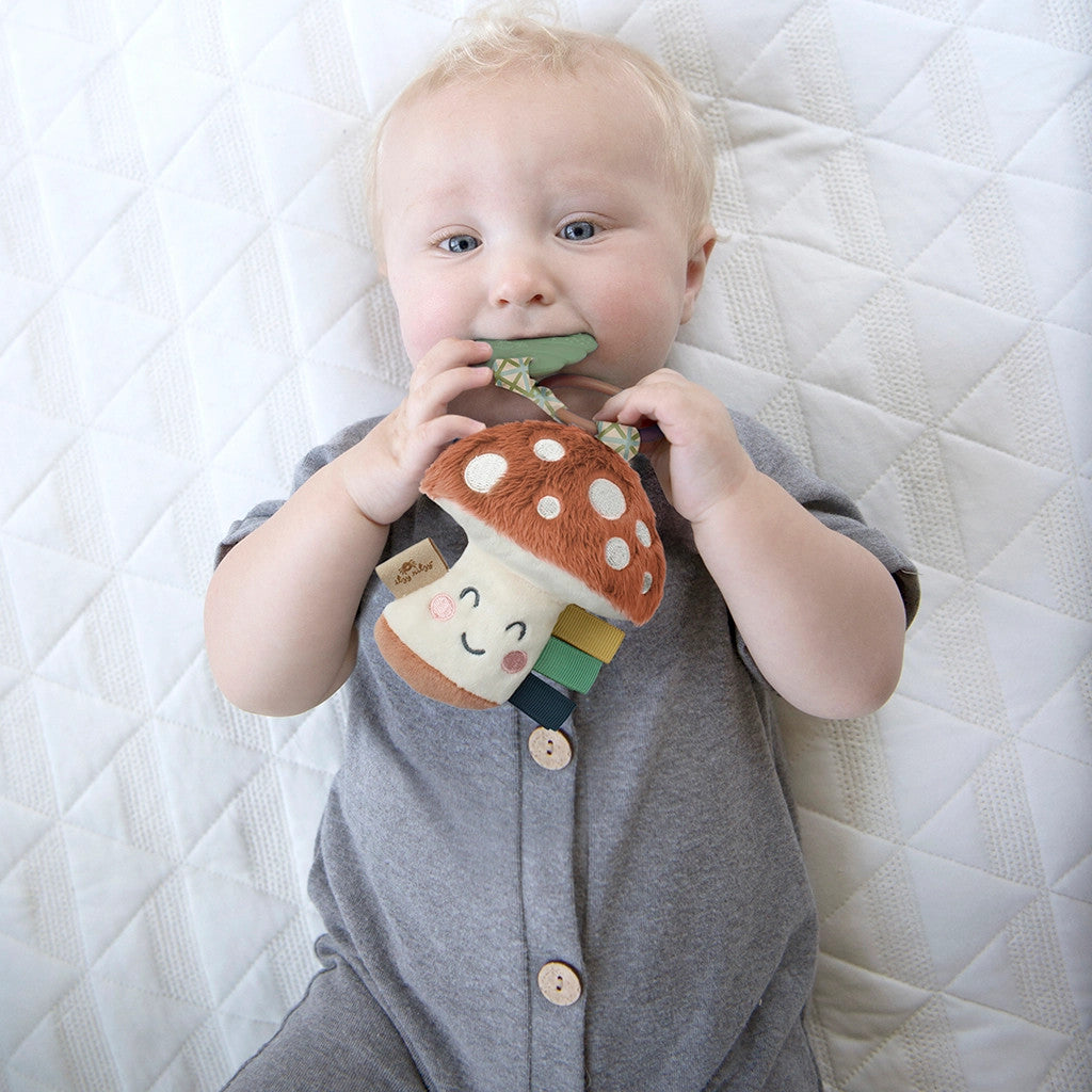 ITZY RITZY PAL PLUSH AND TEETHER