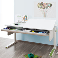 MOLL CHAMPION GIANT DRAWER