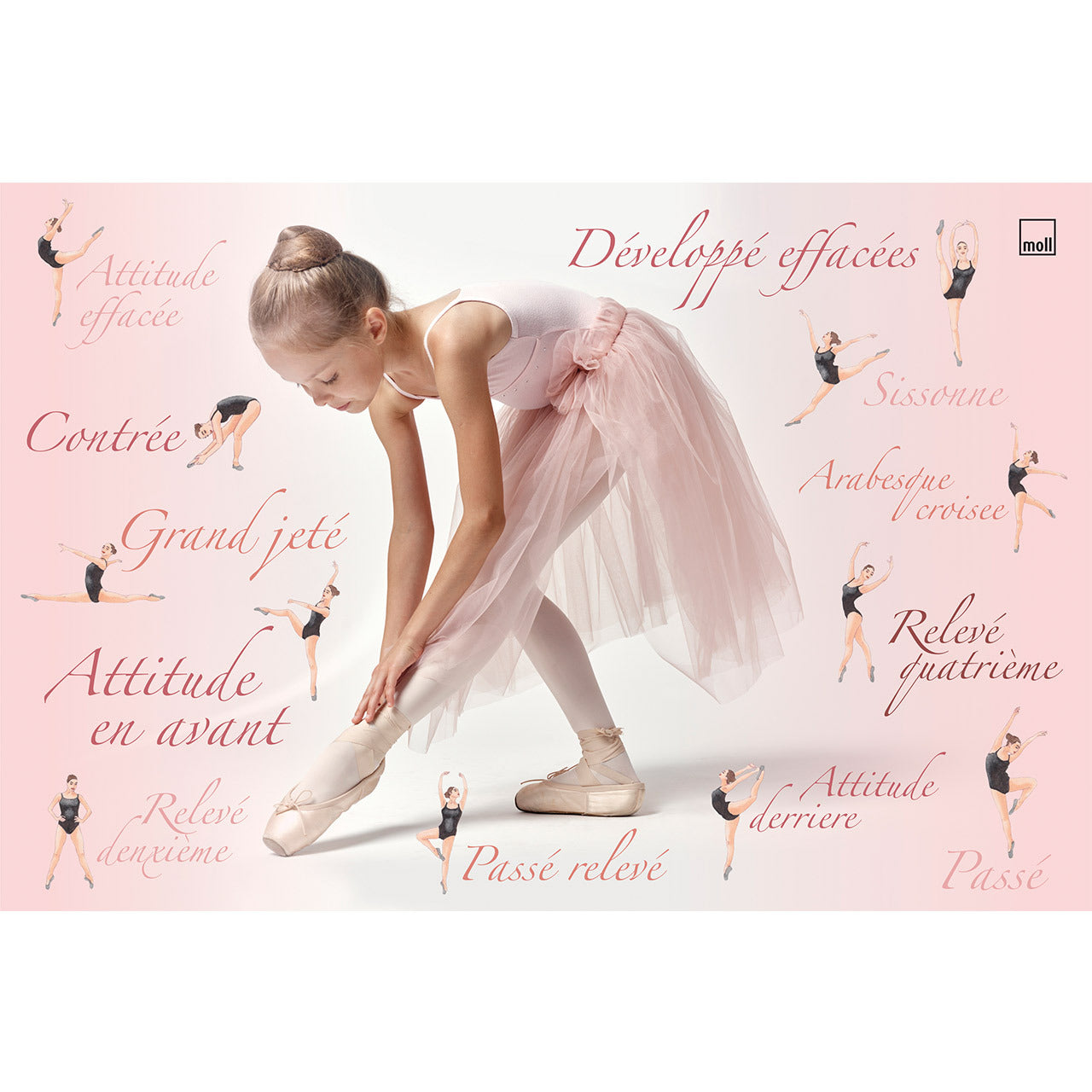 MOLL BLOTTING PAD