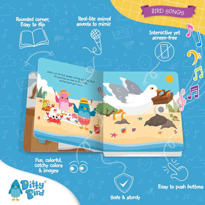 DITTY BIRD SOUND BOOK - BIRD SONGS