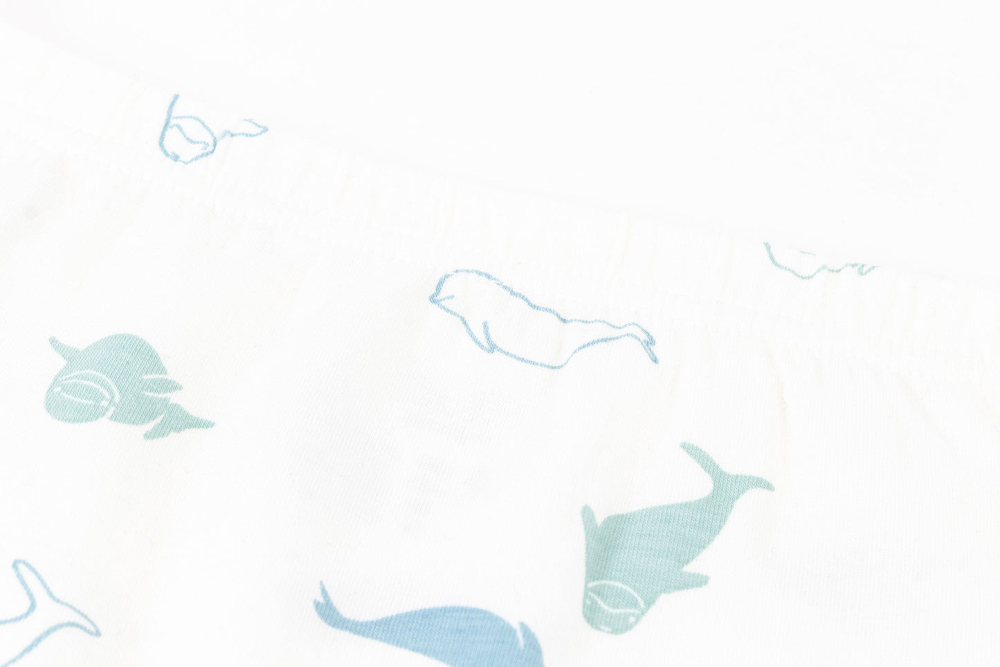 NEST DESIGNS BAMBOO GIRLS BOY SHORT UNDERWEAR (2 PACK) BELUGAS - baby enRoute