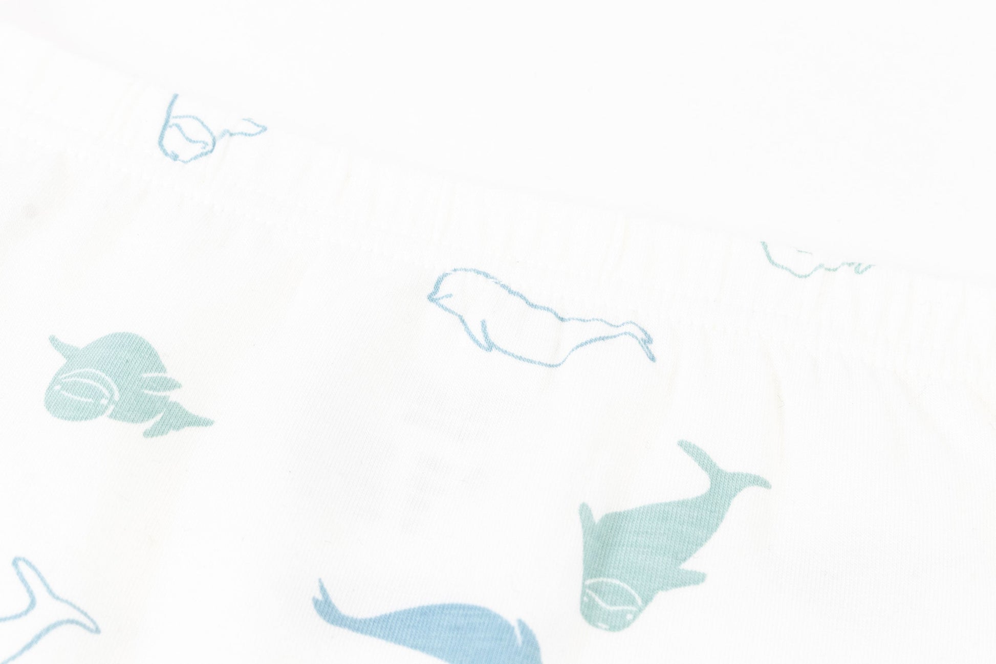 NEST DESIGNS BAMBOO GIRLS BOY SHORT UNDERWEAR (2 PACK) BELUGAS