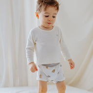 NEST DESIGNS BAMBOO BOYS BOXER BRIEFS UNDERWEAR (2 PACK) SAVANNA SECRETS