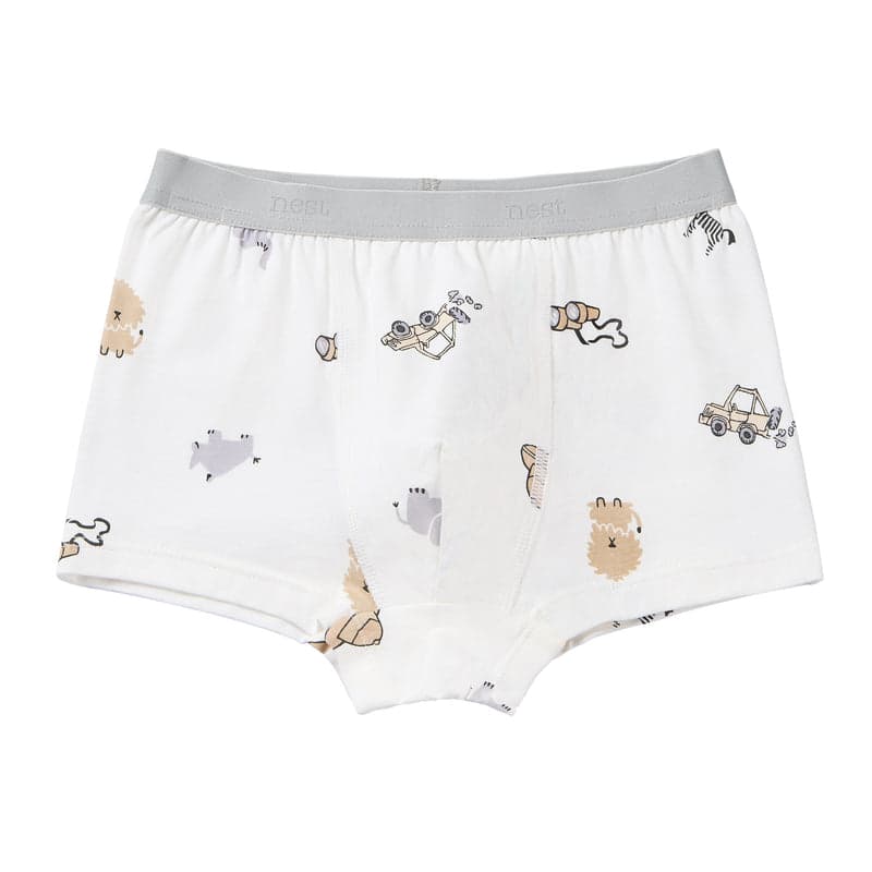 NEST DESIGNS BAMBOO BOYS BOXER BRIEFS UNDERWEAR (2 PACK) SAVANNA SECRETS