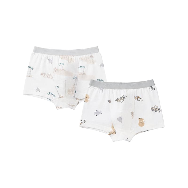 NEST DESIGNS BAMBOO BOYS BOXER BRIEFS UNDERWEAR (2 PACK) SAVANNA SECRETS