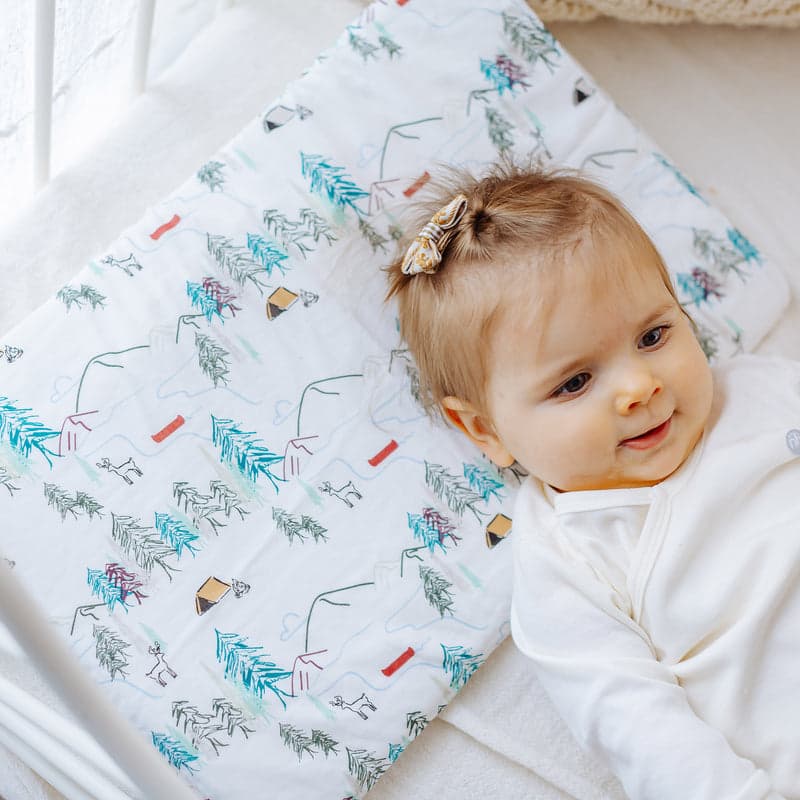 Nest Designs Bamboo Silk Toddler Pillow And Pillowcase Happy Trails