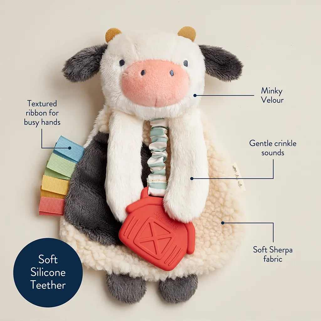 ITZY RITZY ITZY LOVEY PLUSH AND TEETHER TOY
