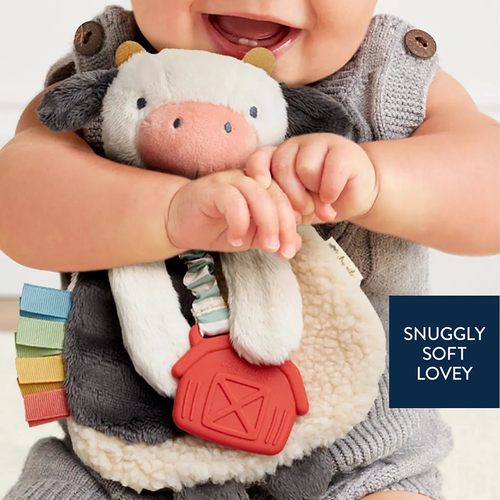 ITZY RITZY ITZY LOVEY PLUSH AND TEETHER TOY