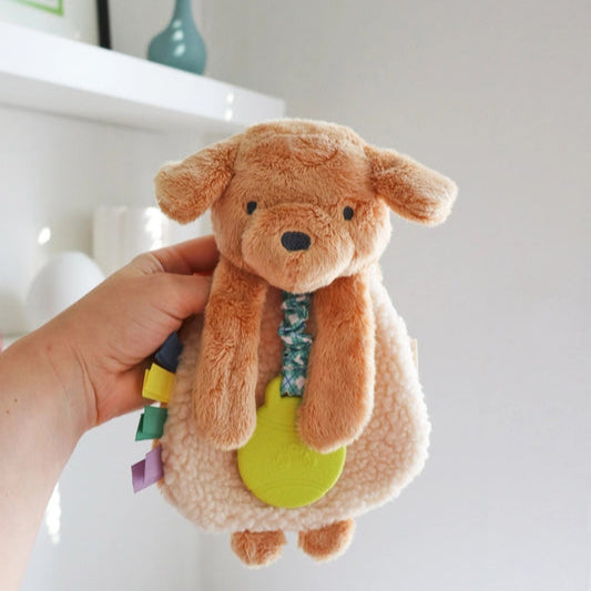 ITZY RITZY ITZY LOVEY PLUSH AND TEETHER TOY