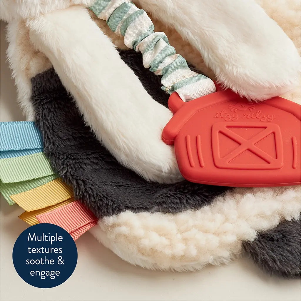 ITZY RITZY ITZY LOVEY PLUSH AND TEETHER TOY