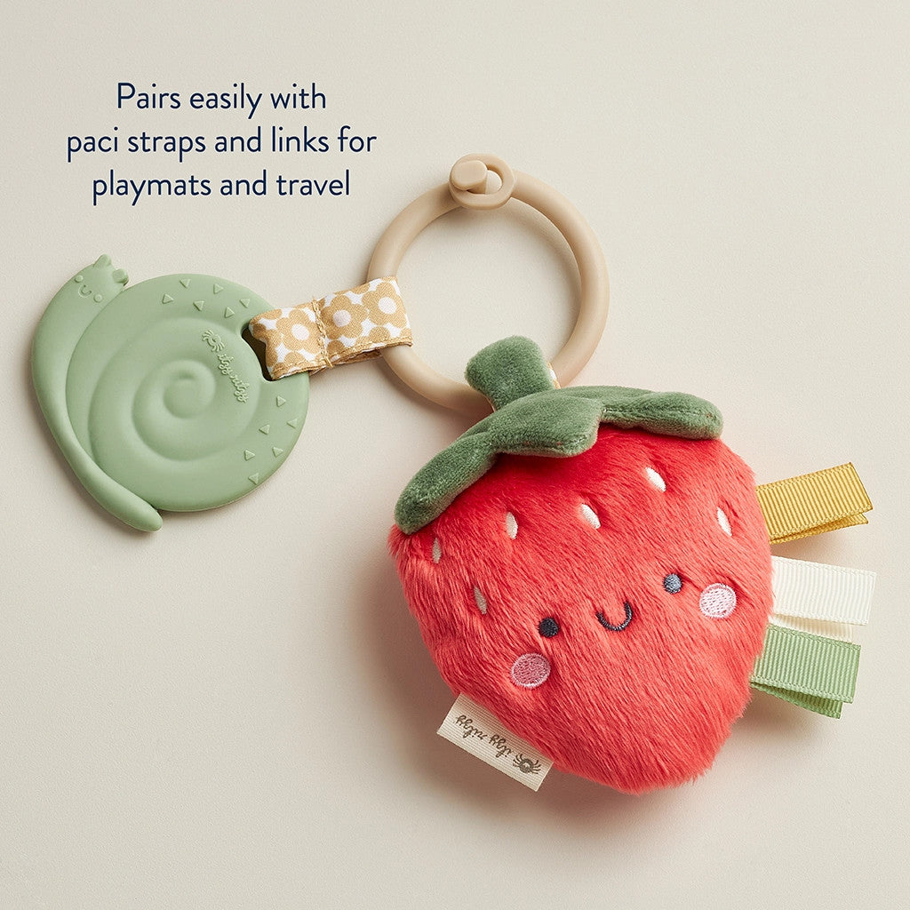ITZY RITZY PAL PLUSH AND TEETHER