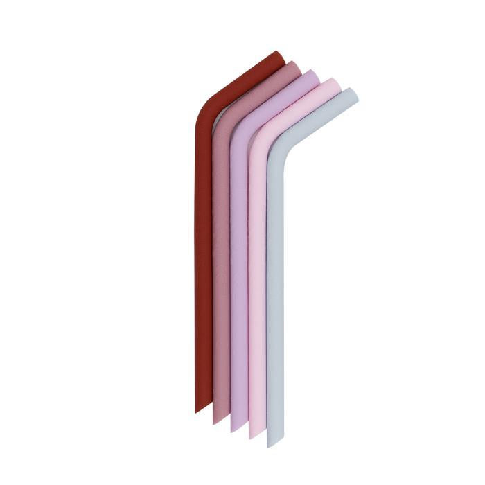 WE MIGHT BE TINY BENDIE STRAWS  (SET OF 5 WITHCLEANING BRUSH)