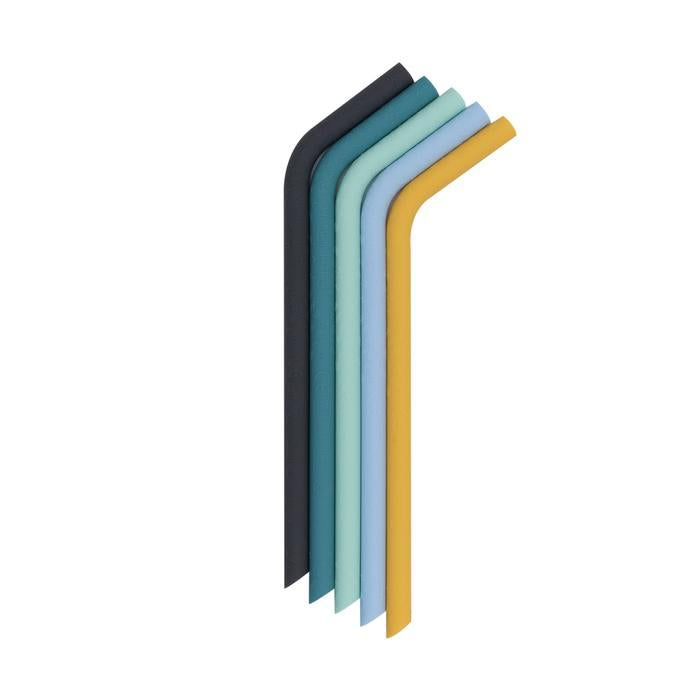 WE MIGHT BE TINY BENDIE STRAWS  (SET OF 5 WITHCLEANING BRUSH)